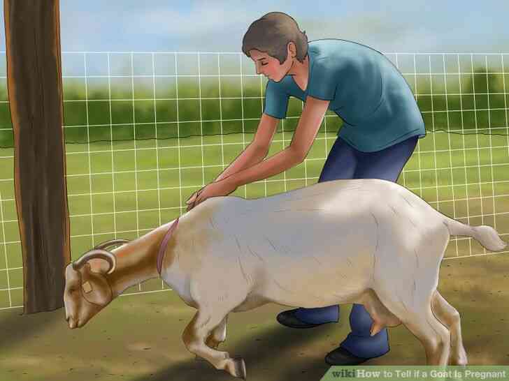 Image intitulée le Lait d